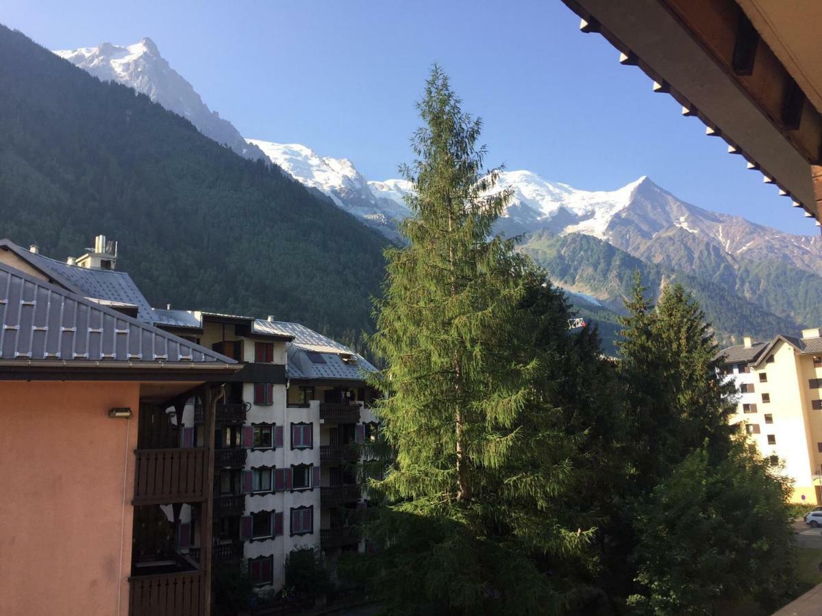Studio Chamonix Centre With Mont-Blanc View Daire Dış mekan fotoğraf
